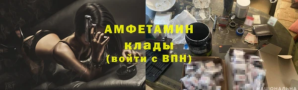 крисы Баксан