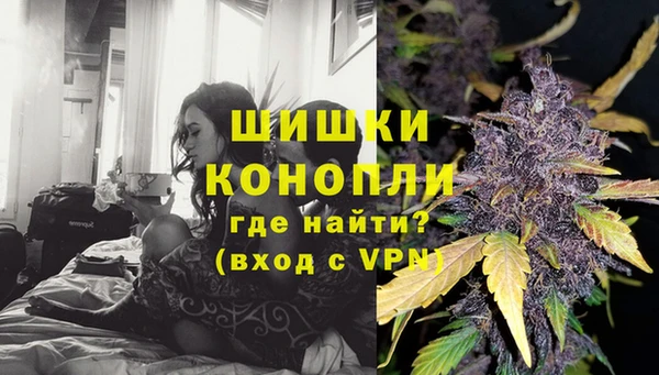 крисы Баксан