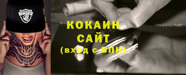 крисы Баксан