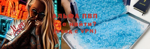 крисы Баксан