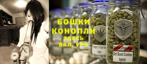 крисы Баксан