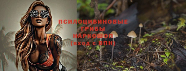МДПВ Арсеньев