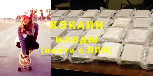 крисы Баксан