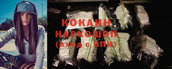 крисы Баксан