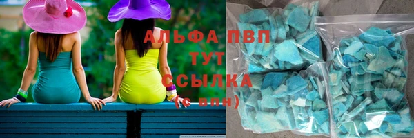крисы Баксан
