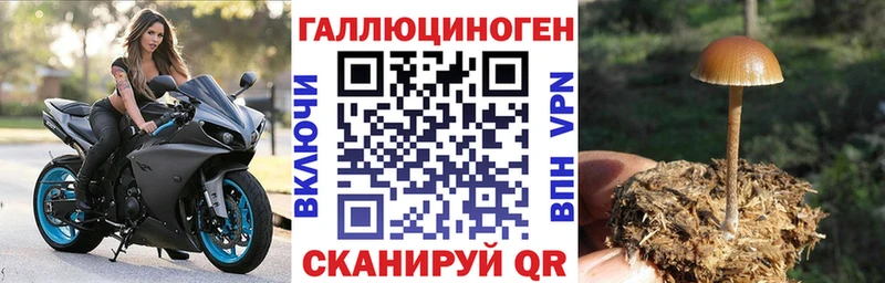 Псилоцибиновые грибы Psilocybe  хочу наркоту  Уфа 